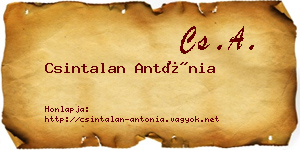 Csintalan Antónia névjegykártya